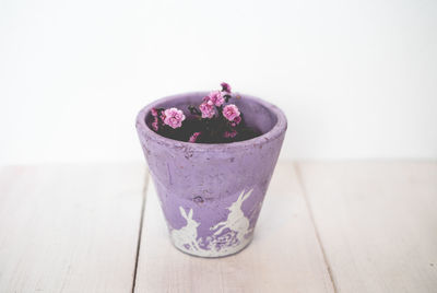 Close-up of purple served on table