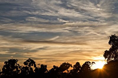 Low angle view of silhouette trees against sky during sunset
