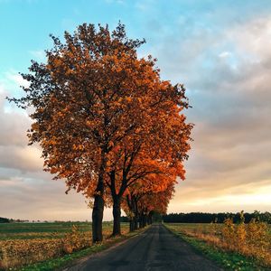 Road passing through field