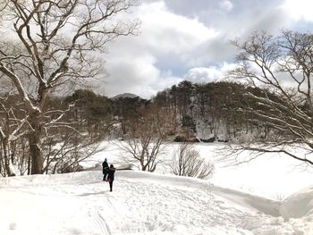 Full length of person on snowcapped mountain against sky