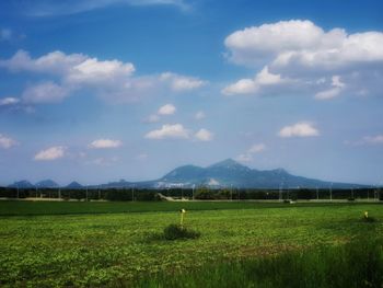 Scenic view of field against sky