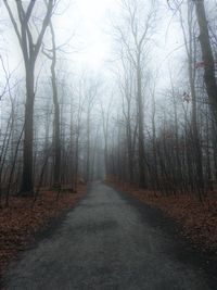 Road amidst trees in forest during autumn