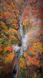 High angle view of road amidst trees during autumn