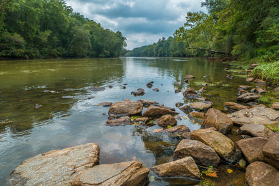 Scenic view of lake