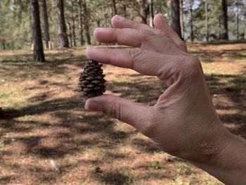 Close-up of man holding hands in forest