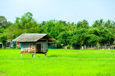 House on field by trees against sky