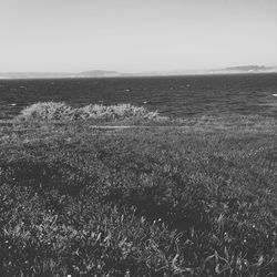 Scenic view of sea against clear sky