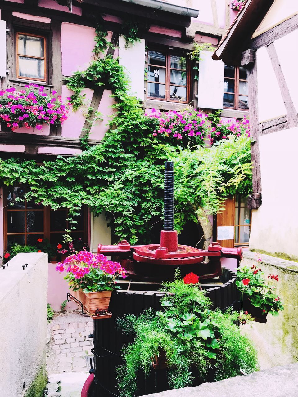 POTTED PLANTS ON WINDOW OF BUILDING