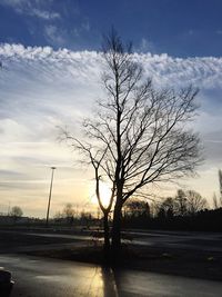 Silhouette tree by road against sky