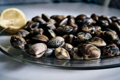 Close-up of shells in container on table