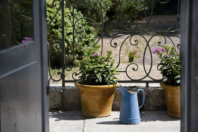 Potted plant by door of building