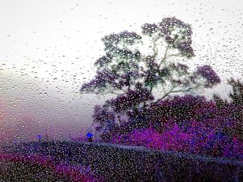 Close-up of water drops on glass