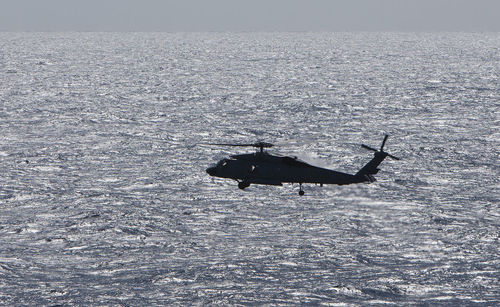 View of horse in sea