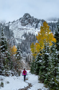 Rear view of person standing on snow covered land