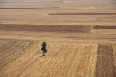 High angle view of desert land on field