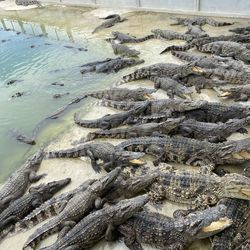 High angle view of beach