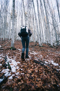 Rear view of man standing amidst trees in forest during autumn