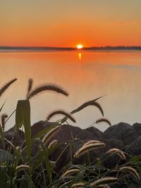 Scenic view of lake against sky during sunset