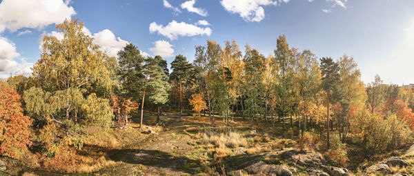 Trees against sky during autumn