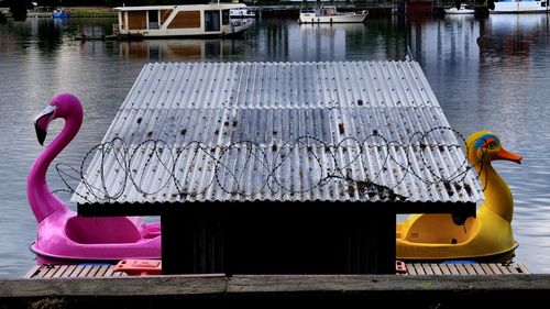 Boats moored in lake at park