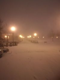 Illuminated street lights during winter at night
