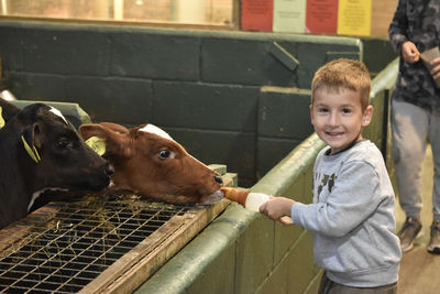 Portrait of smiling boy feeding milk to calf