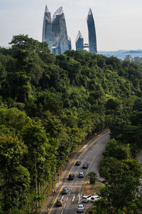 High angle view of road amidst trees