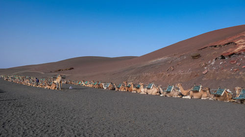 Scenic view of desert against clear blue sky