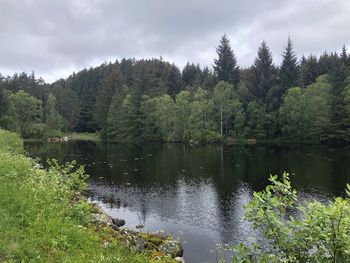 Scenic view of lake by trees against sky