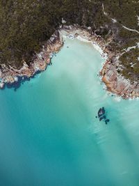 High angle view of swimming in sea