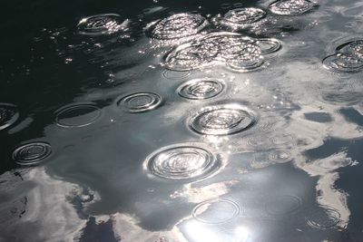 High angle view of bubbles in water