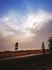 Silhouette trees on field against sky at sunset