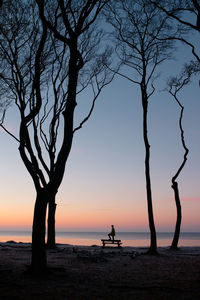 Silhouette trees on beach against sky at sunset