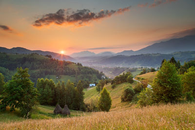 Scenic view of field against sky during sunset