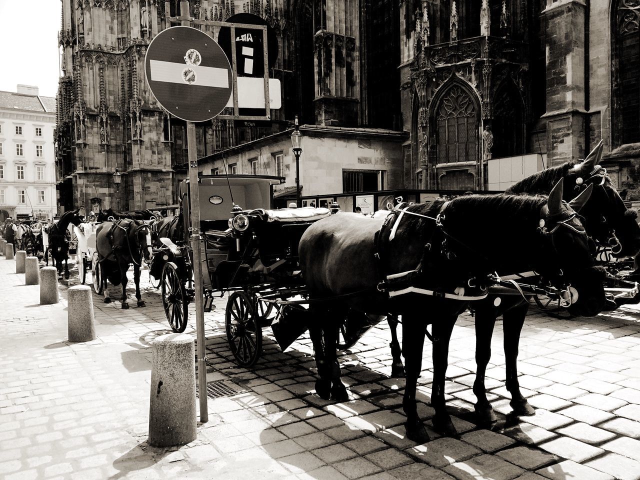 building exterior, architecture, built structure, domestic animals, animal themes, street, city, horse, men, mammal, walking, livestock, working animal, transportation, outdoors, full length, cobblestone, road, city life