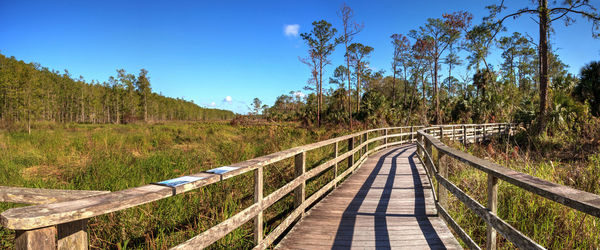 Footbridge amidst trees in forest against clear blue sky