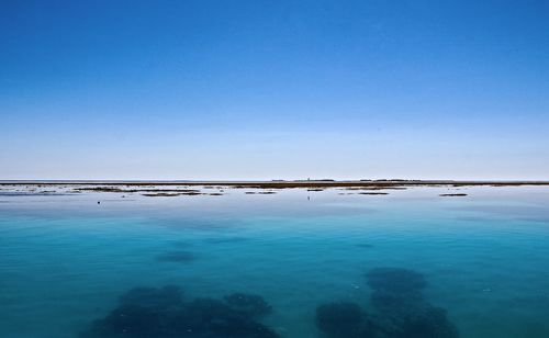 Scenic view of sea against clear blue sky