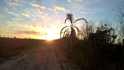 Scenic view of sunset