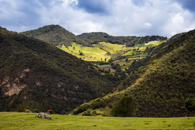 Mountains at the famous alto de las arepas a  rest place for cyclist close to bogota in colombia