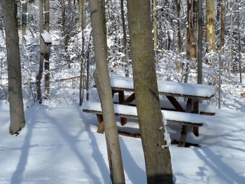 Snow covered picnic table on field at park