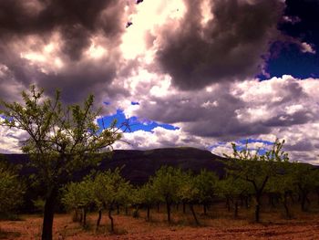 Scenic view of landscape against cloudy sky