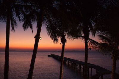 Silhouette palm trees by sea against sky during sunset