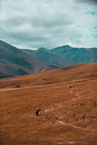 Hiking in tibet