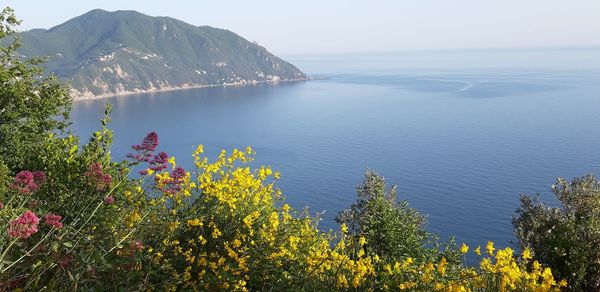 Scenic view of sea and mountains against sky