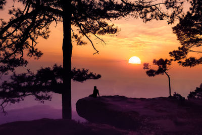 Silhouette trees against sky during sunset