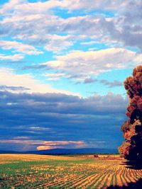 Scenic view of field against cloudy sky