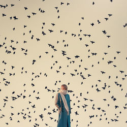 Flock of birds flying against sky