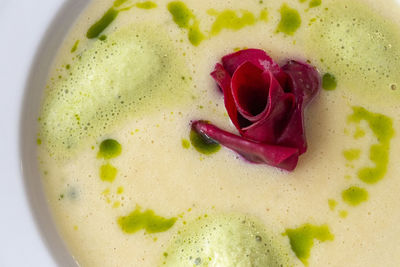 High angle view of rose in bowl