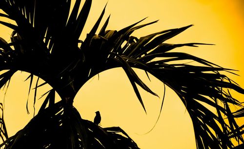 Low angle view of silhouette tree against orange sky