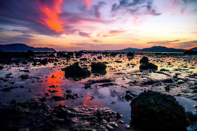 Scenic view of sea against sky during sunset